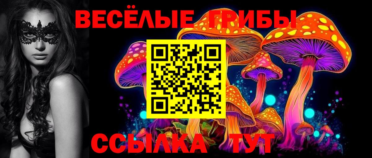 Норильск  Псилоцибиновые грибы Psilocybe  Вход с VPN  Псилоцибиновые грибы MAGIC MUSHROOMS 