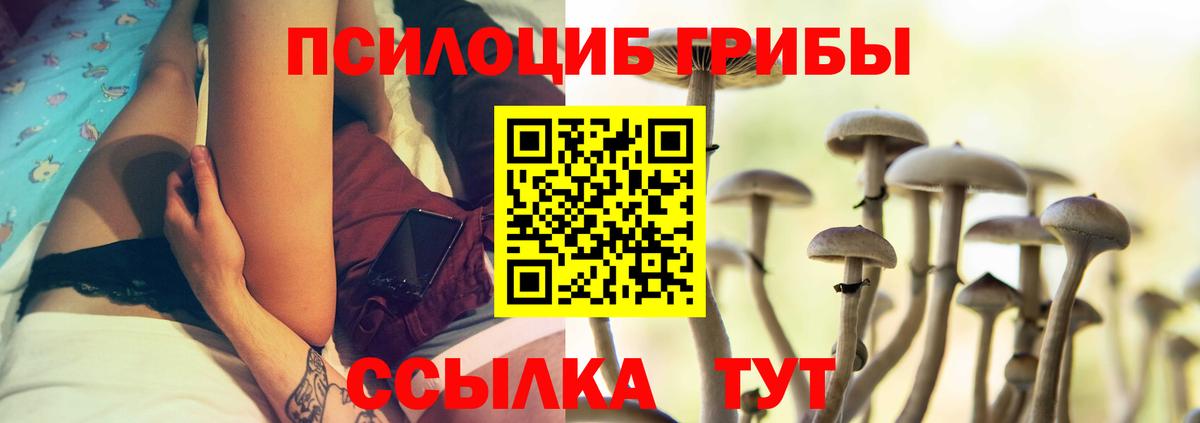 Галлюциногенные грибы Magic Shrooms Норильск